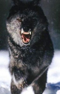 Слеп на левый.