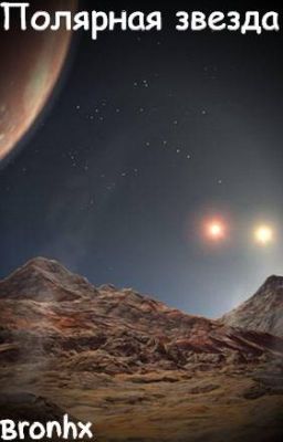 Полярная звезда