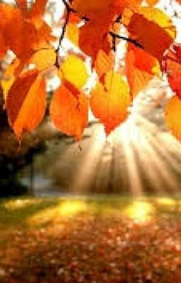 Тайный гость осени