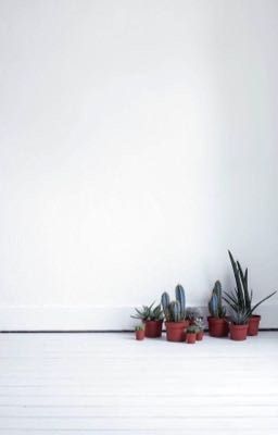 Предрассудки 