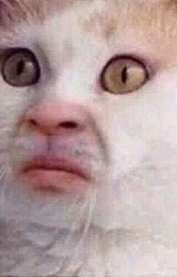 Начать новую жизнь...