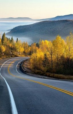 Роковой Поворот! Любовь и Скорость.