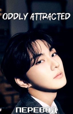 Oddly Attracted || Ян Чонвон