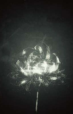 Тень Любви и Мести