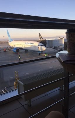 Летняя Школа