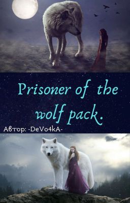 ✨Prisoner of the wolf pack.✨