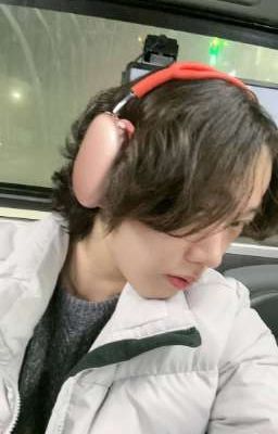 звезда по имени солнце 🐾