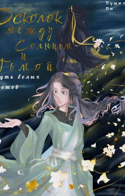 Осколок между солнцем и тьмой 