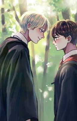 Поттер, да ты больной! 