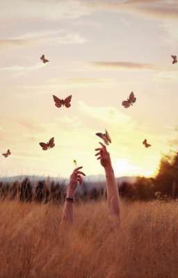 Жизнь за крылья бабочки