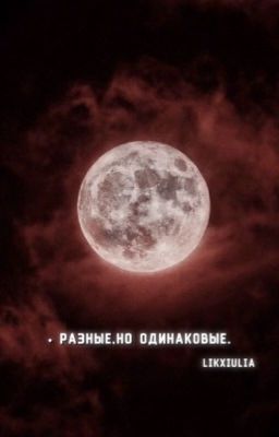 • разные,но одинаковые. [ P.M ]