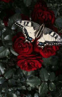 "ЛЮБОВЬ КРОВИ"