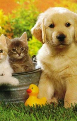 мои отношения с братом 