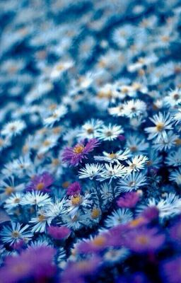 Классные фразы