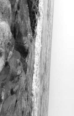 Пока я чувствую пока я помню 