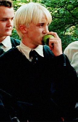 ДРАКО МАЛФОЙ И ЯБЛОКО 🥵