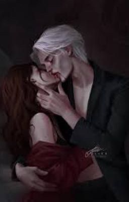 Парижский экспресс: встреча с неожиданным попутчиком