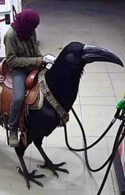 Приключения Додика2010