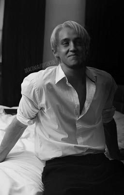 Жизнь во снах..