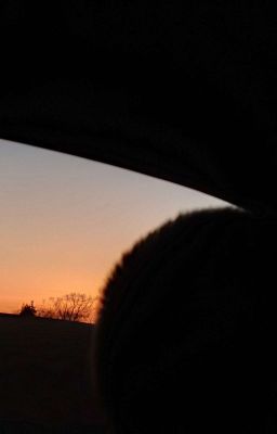 На краю света...