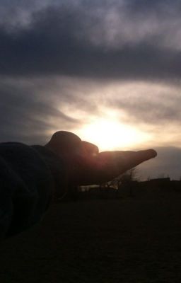 "Путеводная звезда ⭐️ "