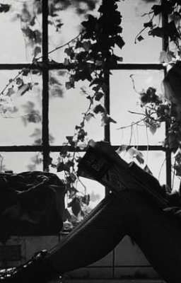 Касание вишни