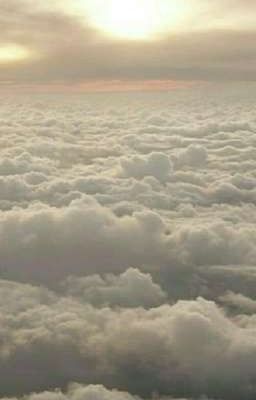 Цена настоящего счастья