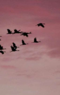 Твой мир - иллюзия