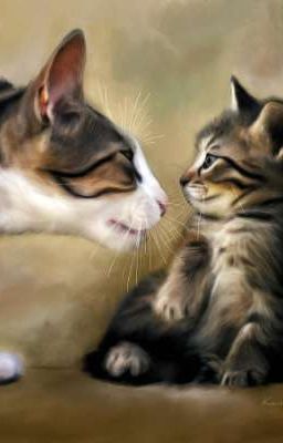 войны ангельских и демонических котов