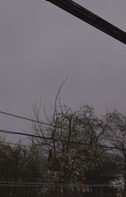 человеческая жизнь