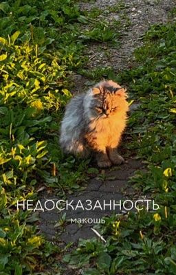 Недосказанность