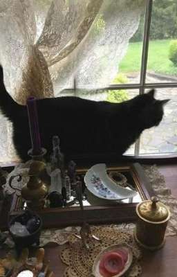 Посмотри в небо | Битва сильнейших | Олег Шепс и Дима Матвеев 