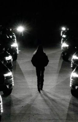 «дорога к счастью»