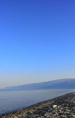 Суровые реалии от Голубчайки