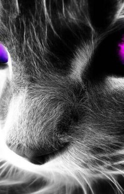 Школьная жизнь оборотней и вампиров