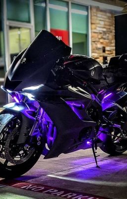 Ночные крылья