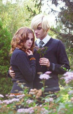 Not the same story...