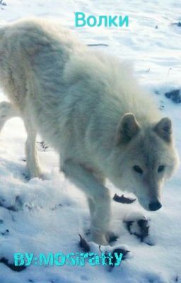Волки