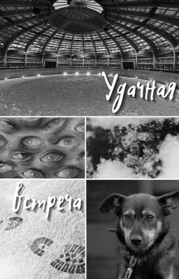 Удачная встреча