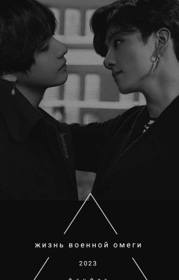 жизнь военного амеги