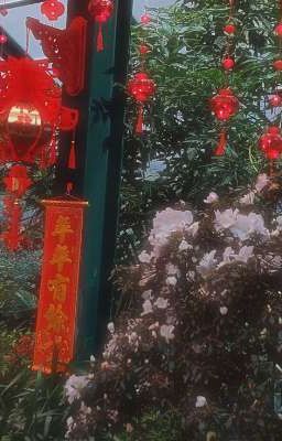 Мафиозная любовь... 