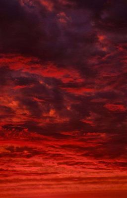 «Хроники закатного города»