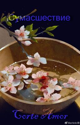 Сумасшествие