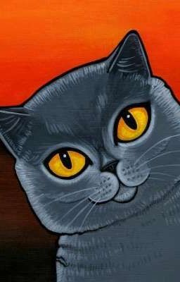 приключения кошки Молли