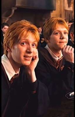 Рыжие счастье