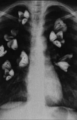 ненавижу ее за нежность и слабость 