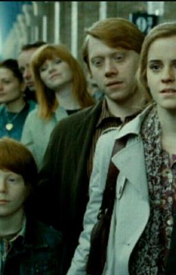 Как Рон и Гермиона