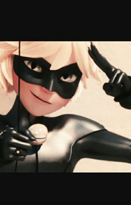 Леди баг и Кот нуар