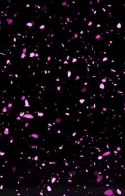 ~Любовь с первого взгляда~