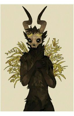 Первый поход